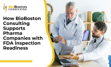 "FDA Inspection Readiness for Pharma Companies | BioBoston Consulting"