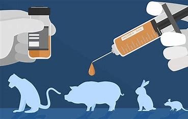 Best Practices for Preclinical Animal Testing