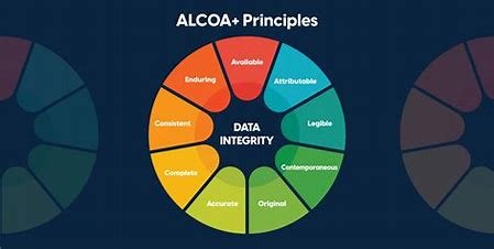 The ALCOA+ Principles Explained 