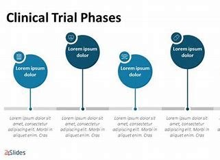 Steps to preparing successful clinical trial phases 