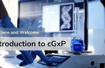 GxP certified consultants 