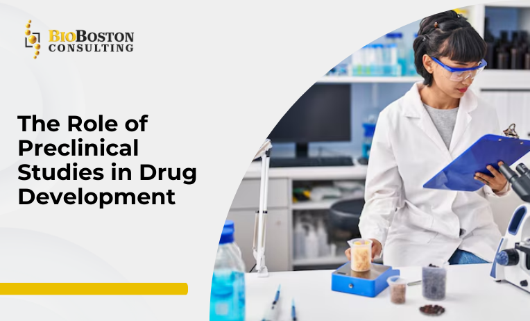 The Types of Preclinical Studies in Drug Development