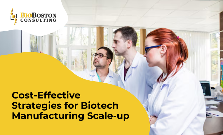 "Automation in biotech manufacturing scale-up process for cost-efficiency."