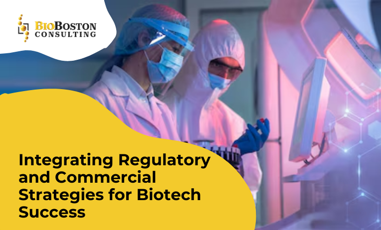 "Integrating regulatory strategies with commercialization for biotech success"