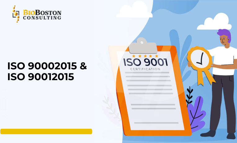 "ISO 9001:2015 Certification Process"