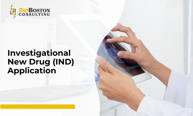 Why IND Application Services Are Crucial