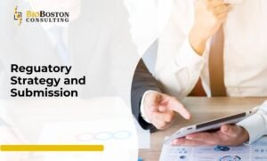 Importance of Regulatory Strategy and Submissions