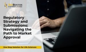 Regulatory Strategy and Submissions Process in Life Sciences