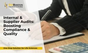 What regulations do your audit services cover?