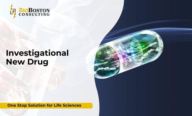 "Investigational New Drug (IND) application submission"