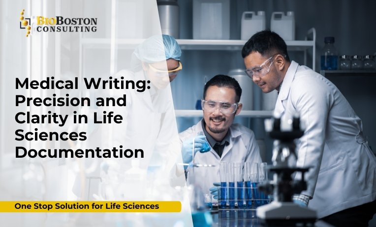 Medical writer preparing regulatory submission