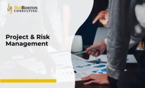 Who Can Benefit from Our Project & Risk Management Services