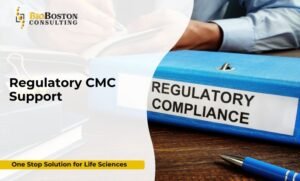 Regulatory CMC (Chemistry, Manufacturing, and Controls) Support