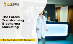 "Biopharma team working on omnichannel marketing strategy."
