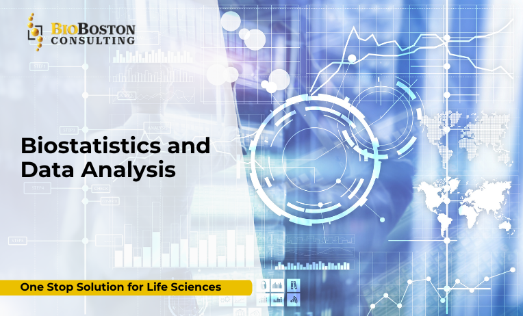 "Biostatistics team analyzing clinical trial data