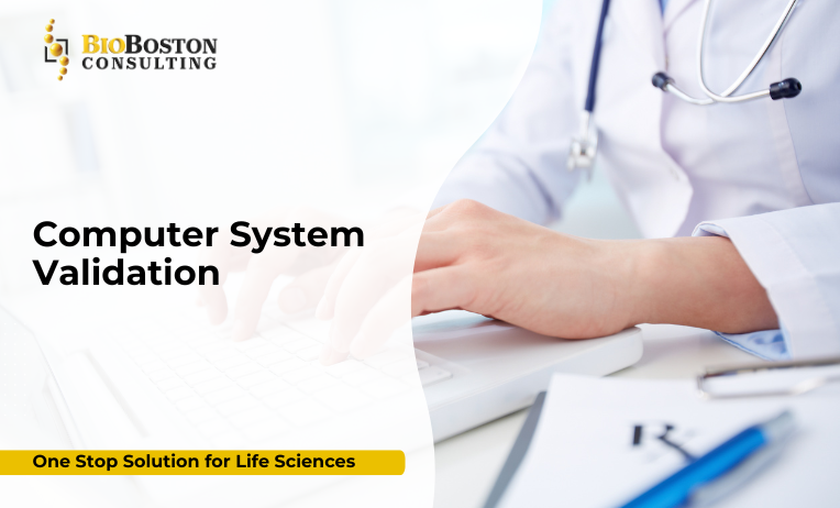 Validated computerized systems for regulatory compliance in life sciences
