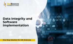 Life sciences professionals validating data in a GxP software system