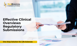 CTD Clinical Overview Workflow Diagram