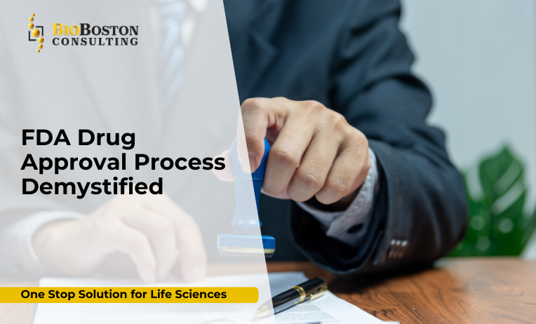 Learn more about FDA regulatory services to streamline your submission.”