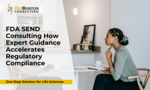 Diagram of SEND compliance process for FDA submission
