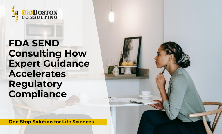 Diagram of SEND compliance process for FDA submission