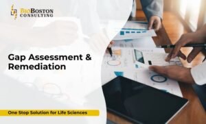 FDA remediation audit team