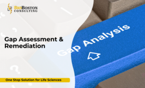 BioBoston Gap Assessment Life Sciences