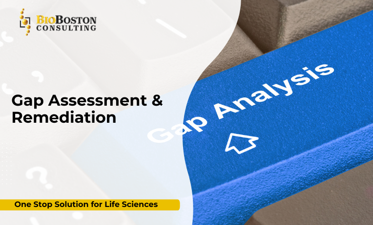 BioBoston Gap Assessment Life Sciences