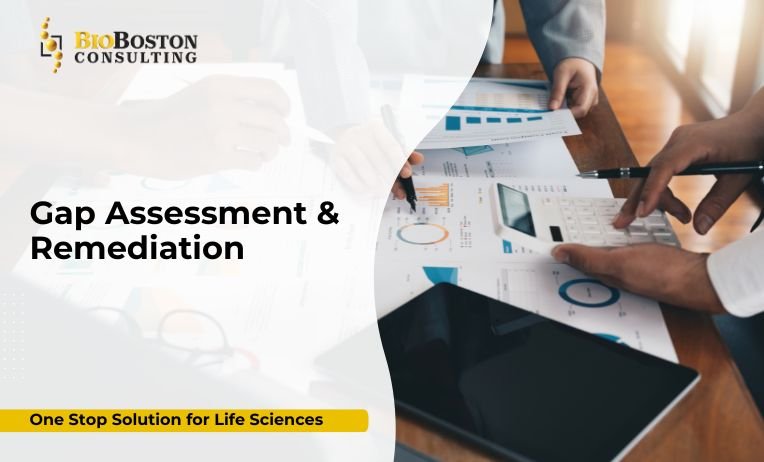 FDA remediation audit team