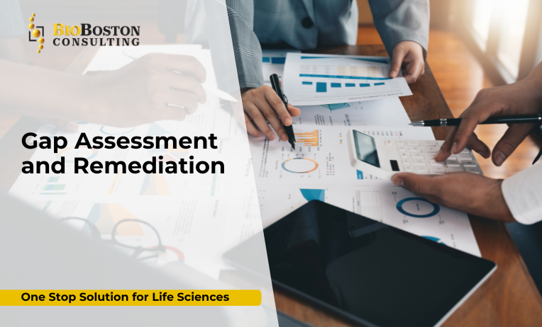 BioBoston experts conducting a compliance gap analysis for a life sciences company
