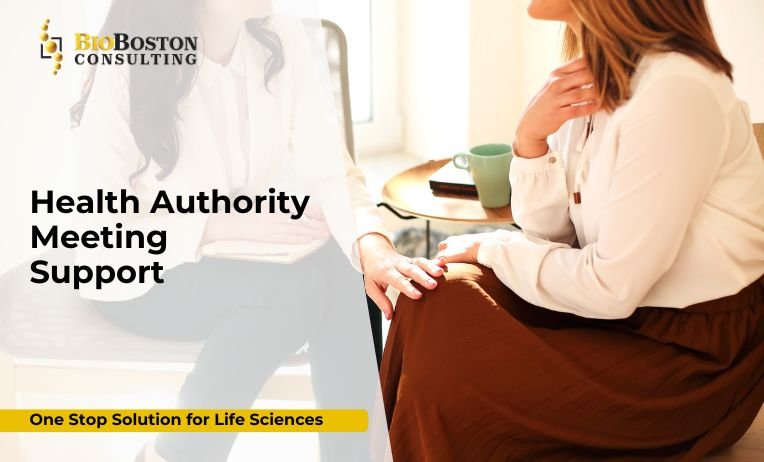 “Regulatory meeting preparation for FDA approval”