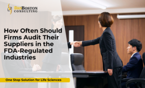 FDA supplier audit decision matrix 2025