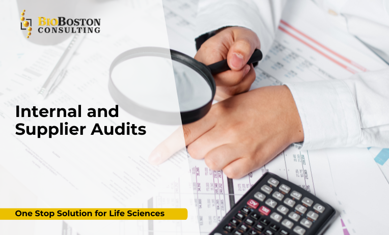 Quality auditor reviewing supplier documentation for GMP compliance