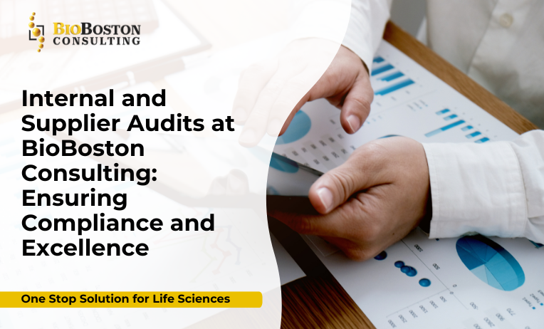 Why Are Internal and Supplier Audits Important?
