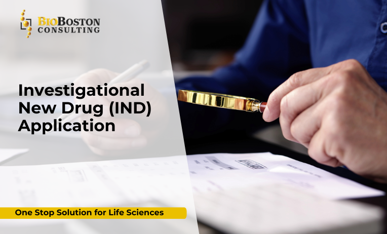 Investigational New Drug (IND) application process