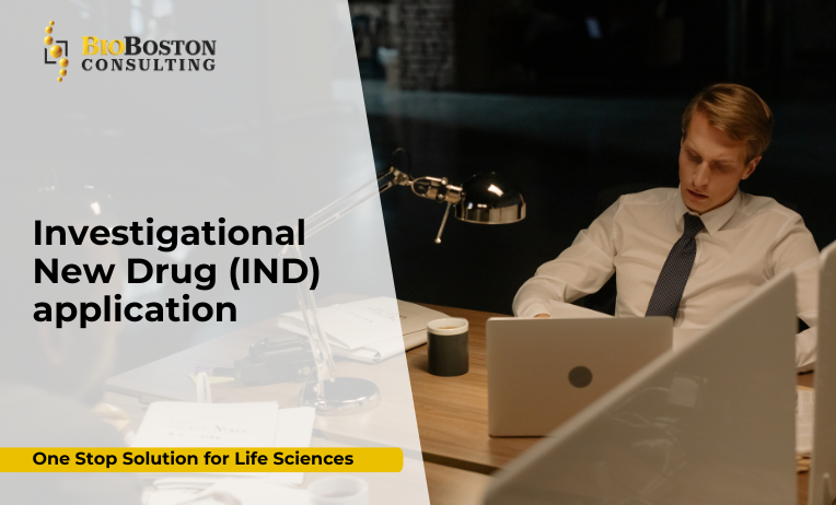 FDA IND application process guidance for life sciences companies by BioBoston Consulting