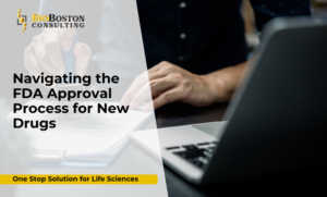 Step-by-step FDA drug approval process with BioBoston Consulting support