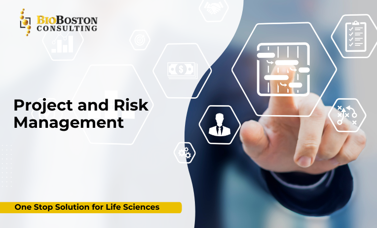 Key Components of Project & Risk Management