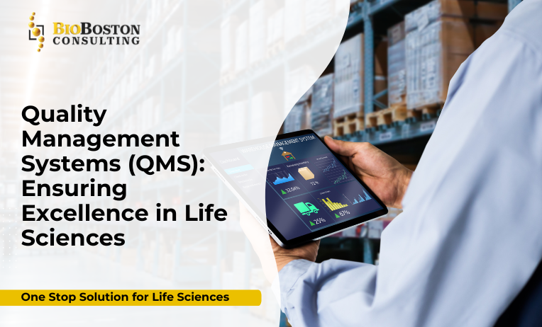 BioBoston Consulting Quality Management System (QMS) services for life sciences