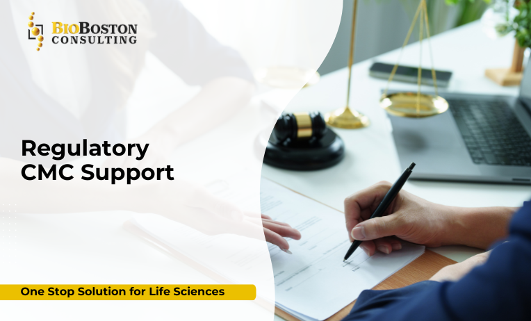 Tailored CMC Regulatory Support for Life Sciences Product Development