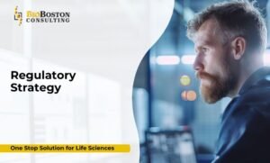 FDA submission dossier preparation