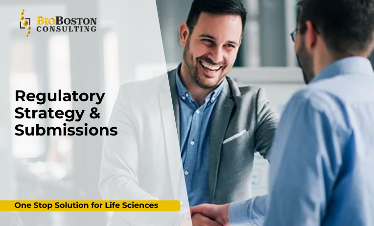 FDA submission experts