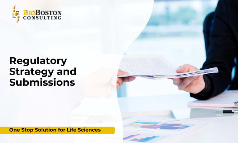 What Are Regulatory Strategy and Submissions?
