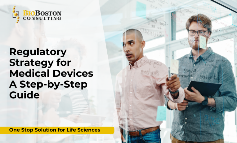 12-step roadmap for regulatory strategy in medical devices