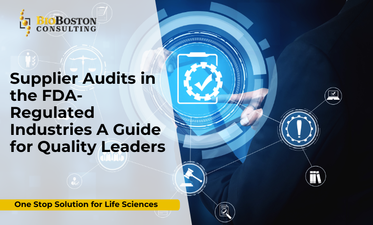 Perform Supplier Audits Based on Risk