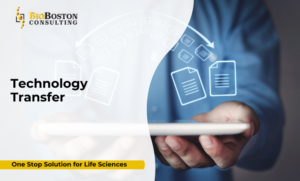 Seamless Technology Transfer Services for Life Sciences