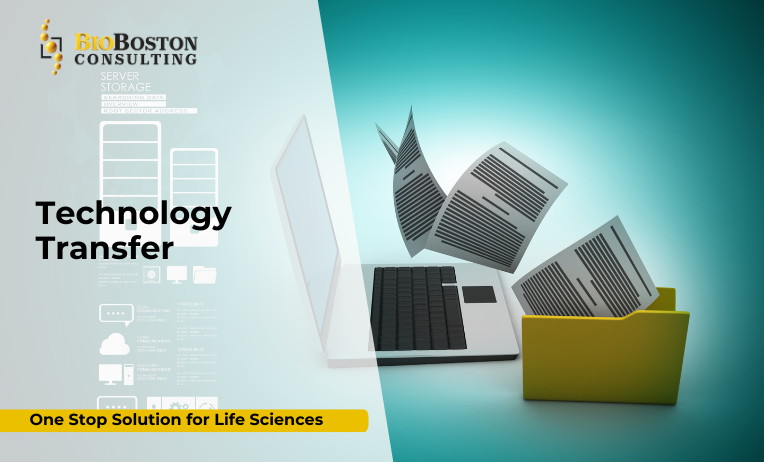 Life sciences manufacturing technology transfer process