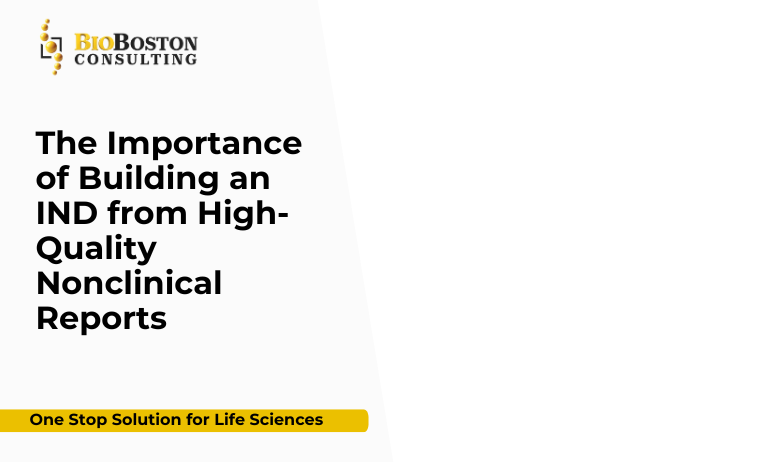 "IND submission nonclinical report preparation"