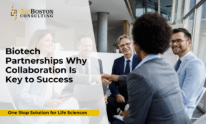 biotech partnership model infographic