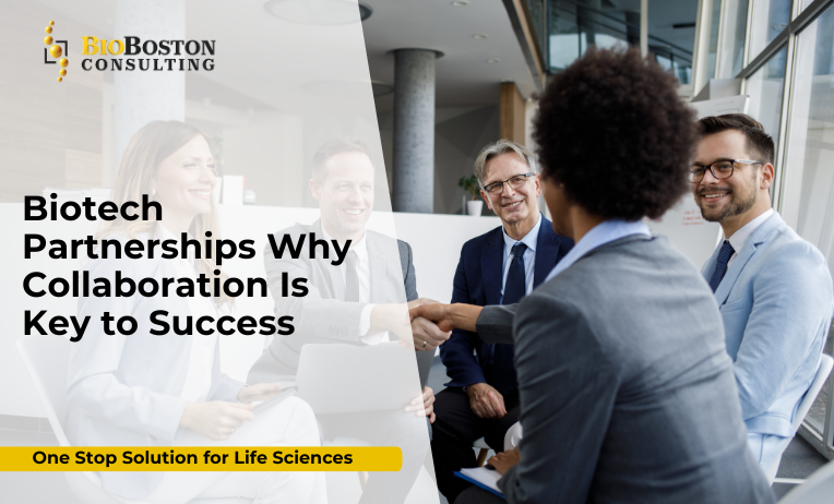 biotech partnership model infographic